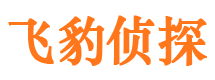 浑源找人公司